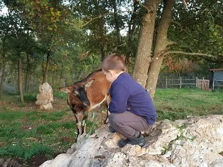 Milica - Istrian Ecohouse Barban