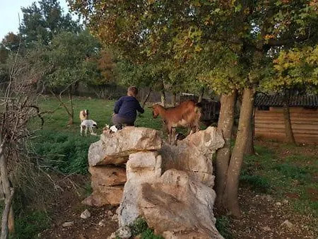 Milica - Istrian Ecohouse Villa