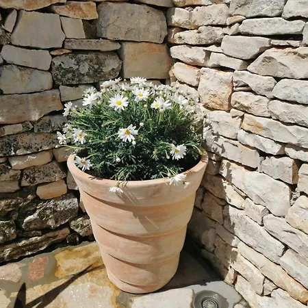 Milica - Istrian Ecohouse Villa Barban
