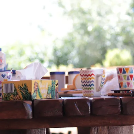 Villa Milica - Istrian Ecohouse Barban