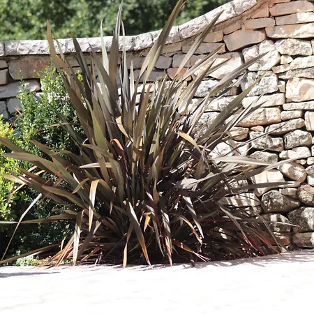 Milica - Istrian Ecohouse Barban